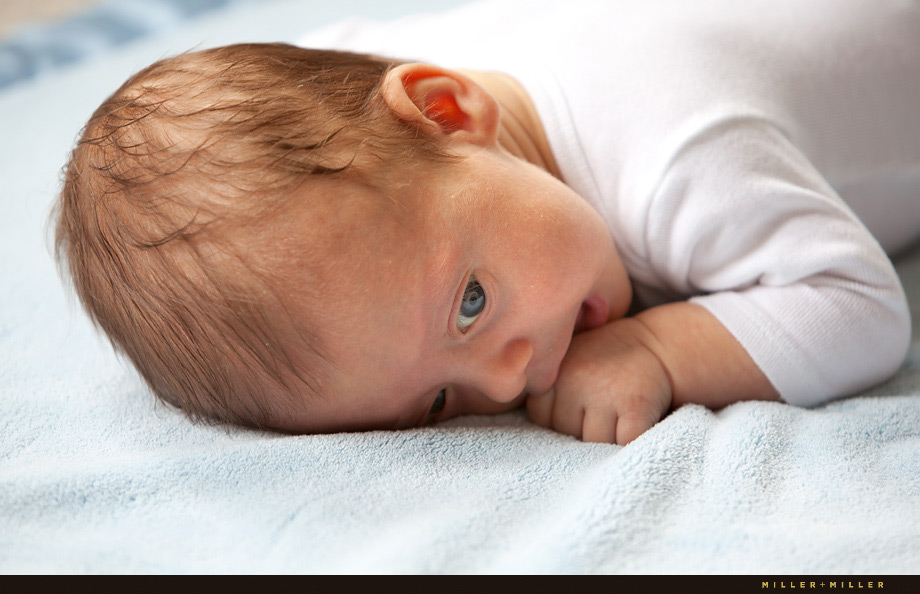 chicago il baby newborn photography