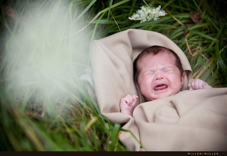 Baby Portraits