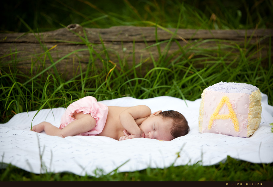 St Charles Il Newborn Baby Photography