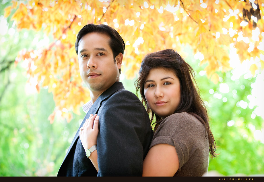 beautiful save the date pictures Grant Park Chicago photos