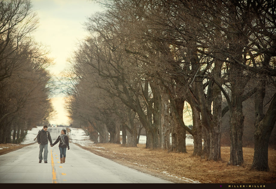 artistic nature engagement photography barrington il