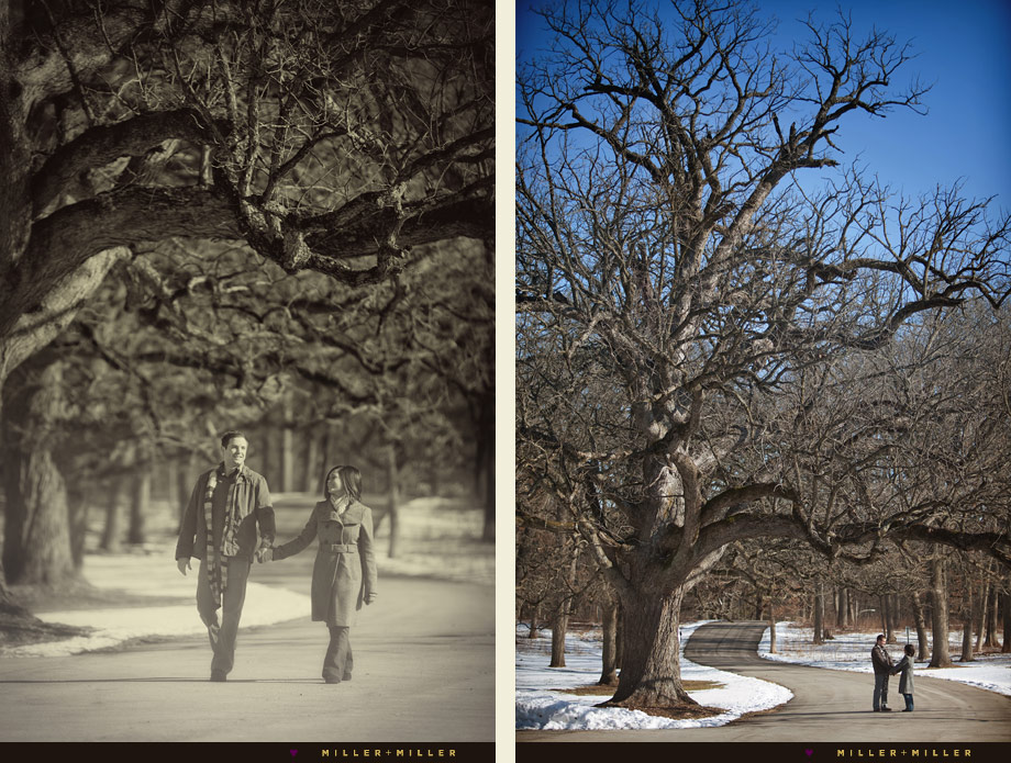 lemont engagement photographer il