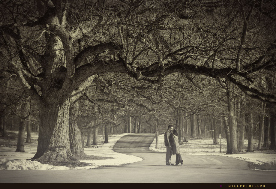 oak tree outdoor winter engagement photos evanston