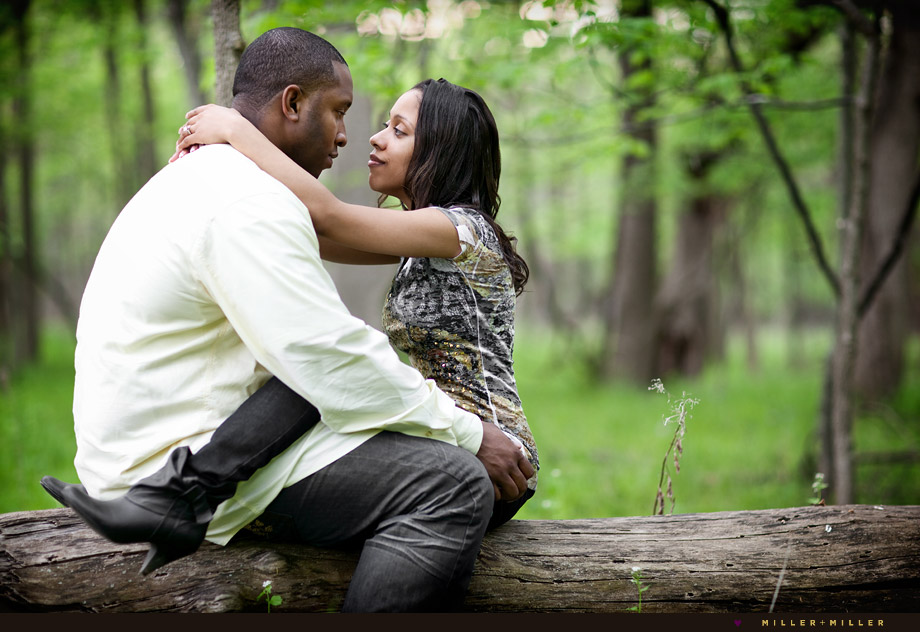 trees nature engagement photo illinois trees nature engagement photo illinois