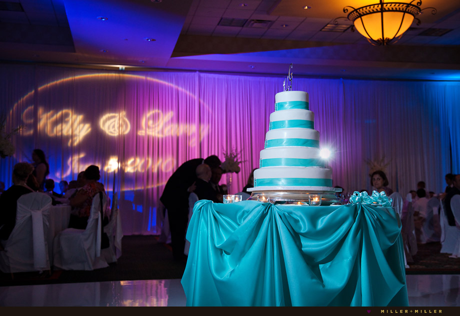Chicago Wedding Cake