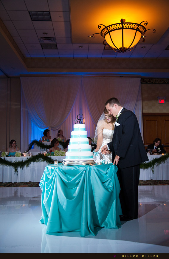 Wedding Cake Cutting