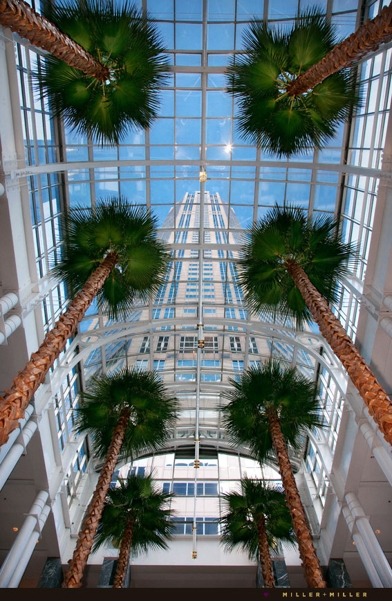 Pazzo's ceiling atrium wedding Pazzo's ceiling atrium wedding