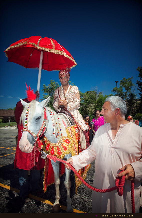 indian groom horse ceremony indian groom horse ceremony
