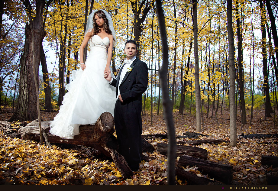 elegant wedding photographers chicago