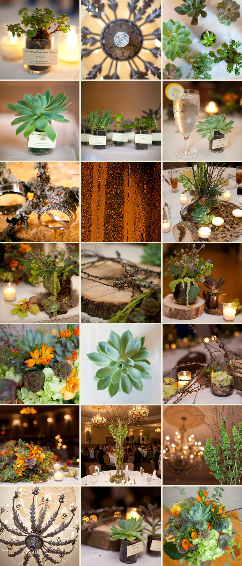 wood plants green centerpieces rustic earthy photos