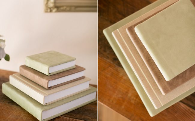 Various Sizes of Leather Albums